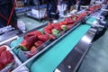 Strawberries on conveyor belt