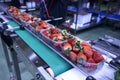 Strawberries on conveyor belt