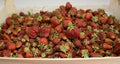 Strawberries in a crate. They are just harvested. Royalty Free Stock Photo