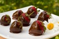 Strawberries dipped in chocolate on a white square plate. Close-up