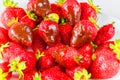 Strawberries dipped in delicious chocolate in white dish isolated on white background. Close up view. Royalty Free Stock Photo