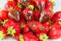 Strawberries dipped in delicious chocolate in white dish isolated on white background. Close up view. Royalty Free Stock Photo