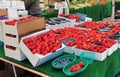 Strawberries on Display at a Farmer`s Market Royalty Free Stock Photo