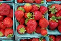 Strawberries displayed in baskets Royalty Free Stock Photo