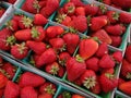 Strawberries displayed in square light blue plastic baskets