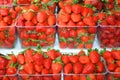 Strawberries at the farmer\'s market