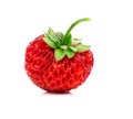 Strawberries, Fragaria berry