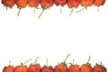 Strawberries frame Royalty Free Stock Photo