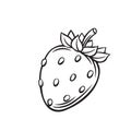 Strawberries fruit berry outline icon