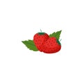 Strawberries Fruit Flat Design Vector Illustration Isolated on a white background Royalty Free Stock Photo