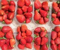 Strawberries in fruitbox Royalty Free Stock Photo