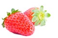 Strawberries fruits isolated