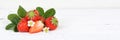 Strawberries fruits strawberry leaves banner copyspace on wooden