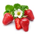 Strawberries with green leaf and flowers isolated Royalty Free Stock Photo