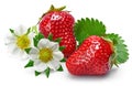 Strawberries with green leaf and flowers isolated Royalty Free Stock Photo