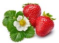 Strawberries with green leaf and flowers isolated Royalty Free Stock Photo