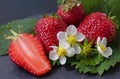 Strawberries on green leaves and white flowers, on a round black stone tile, isolated on black background Royalty Free Stock Photo