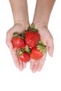 Strawberries in the hand