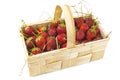 Strawberries isolated in a small basket fresh from field Royalty Free Stock Photo