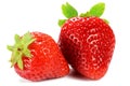 Strawberries Royalty Free Stock Photo