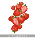 Strawberries isolated on white background.Summer berries vector in cartoon style