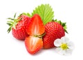 Strawberries with leaves and blossom. Isolated on a white Royalty Free Stock Photo