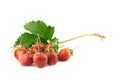 Strawberries with leaves.close up Isolated on a white background. Royalty Free Stock Photo