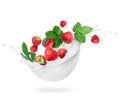 Strawberries with leaves in milk splashes close-up isolated on a white background Royalty Free Stock Photo