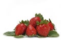 Strawberries and leaves over white. Royalty Free Stock Photo