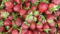 Strawberries lined up at the grocery store.