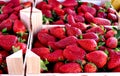 Strawberries on the market Royalty Free Stock Photo
