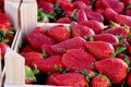 Strawberries on the market Royalty Free Stock Photo