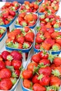 strawberries, market in Nyons, Rhone-Alpes, France Royalty Free Stock Photo