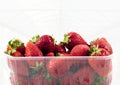 Strawberries market package with a greenhouse background Royalty Free Stock Photo