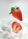 Strawberries in milk splash Royalty Free Stock Photo