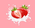 Strawberries and milk splash with milk dopplet on pink background Royalty Free Stock Photo