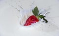 Strawberries with milk splash Royalty Free Stock Photo