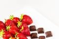 Strawberries and pieces of chocolate in white dish isolated on white background. Close up view. Royalty Free Stock Photo