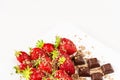 Strawberries and pieces of chocolate in white dish isolated on white background. Close up view. Royalty Free Stock Photo