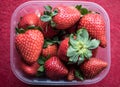 Strawberries in plastic basket