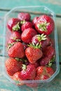 Strawberries plastic container