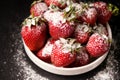 Strawberries in a plate with powdered sugar on a black background, close-up. Royalty Free Stock Photo