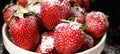 Strawberries in a plate with powdered sugar on a black background, side view close-up. Royalty Free Stock Photo