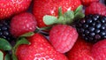 Strawberries, raspberries and blackberries mixed in a bowl for texture Royalty Free Stock Photo