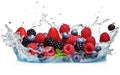 Strawberries, raspberries, blueberries and blackberries enveloped in a splash of water isolated against a white background. Genera Royalty Free Stock Photo