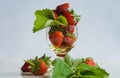 Strawberries in rum Royalty Free Stock Photo