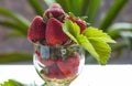 Strawberries in rum Royalty Free Stock Photo