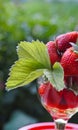 Strawberries in rum Royalty Free Stock Photo