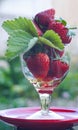 Strawberries in rum Royalty Free Stock Photo