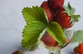 Strawberries in rum Royalty Free Stock Photo